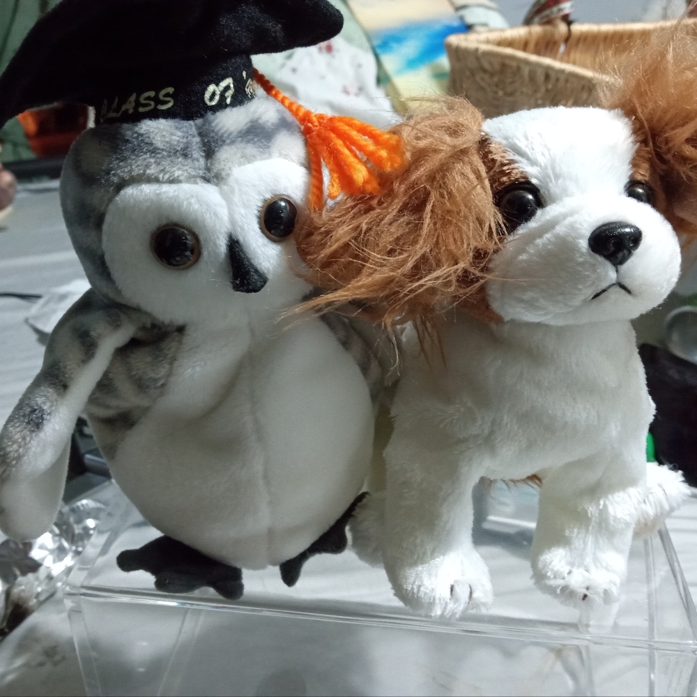 TY toys
